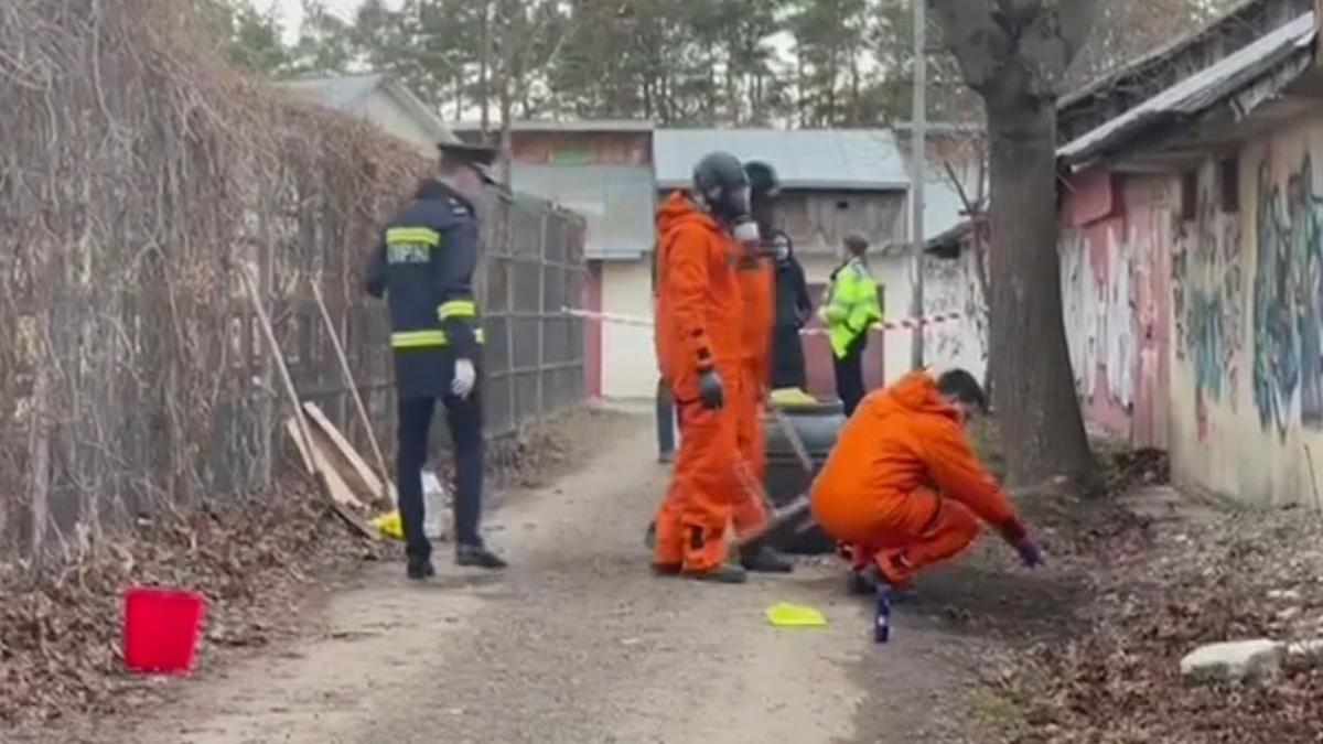 mercur curtea scolii strans maturi lopeti seringi