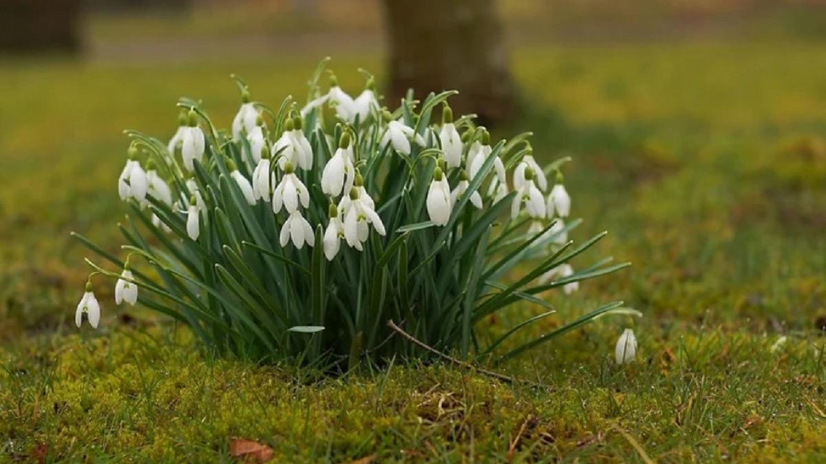 prognoza meteo vremea temperaturi februrie