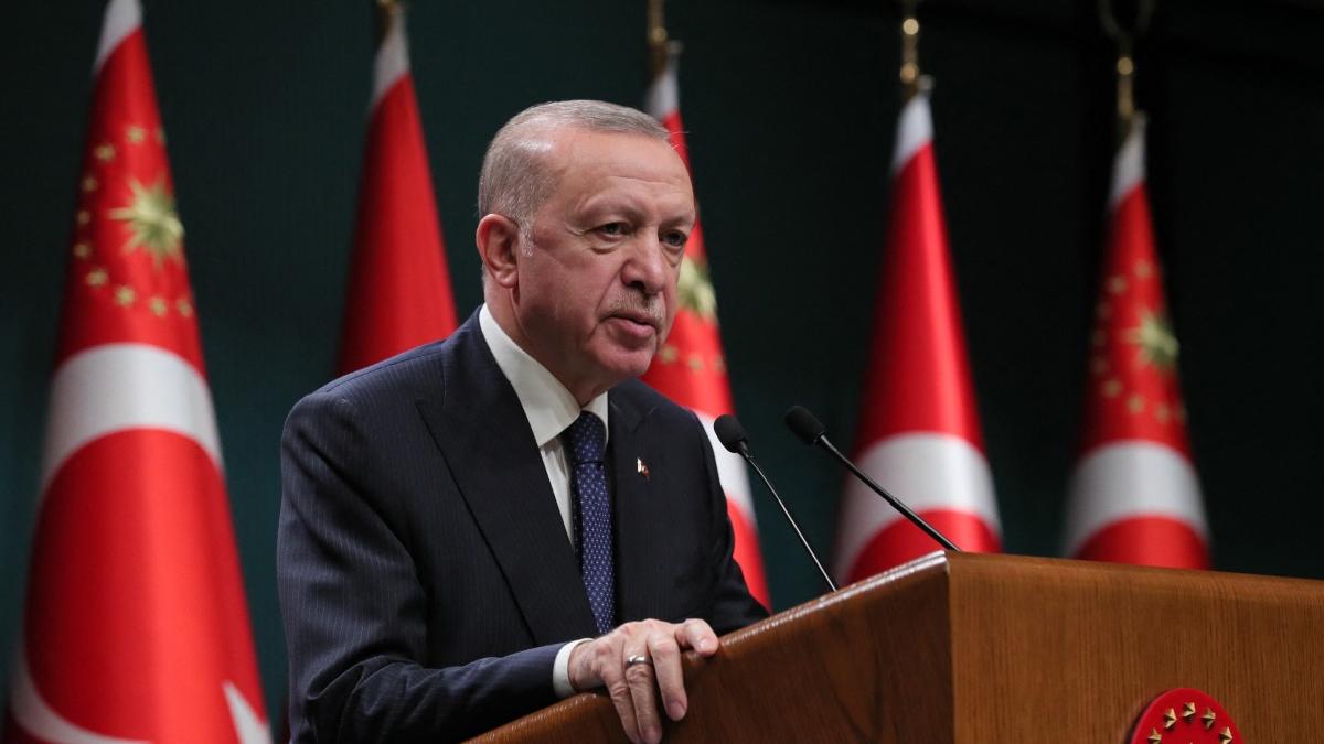 presedinte recep erdogan turcia sprijina lupta ucraina integritate teritoriala