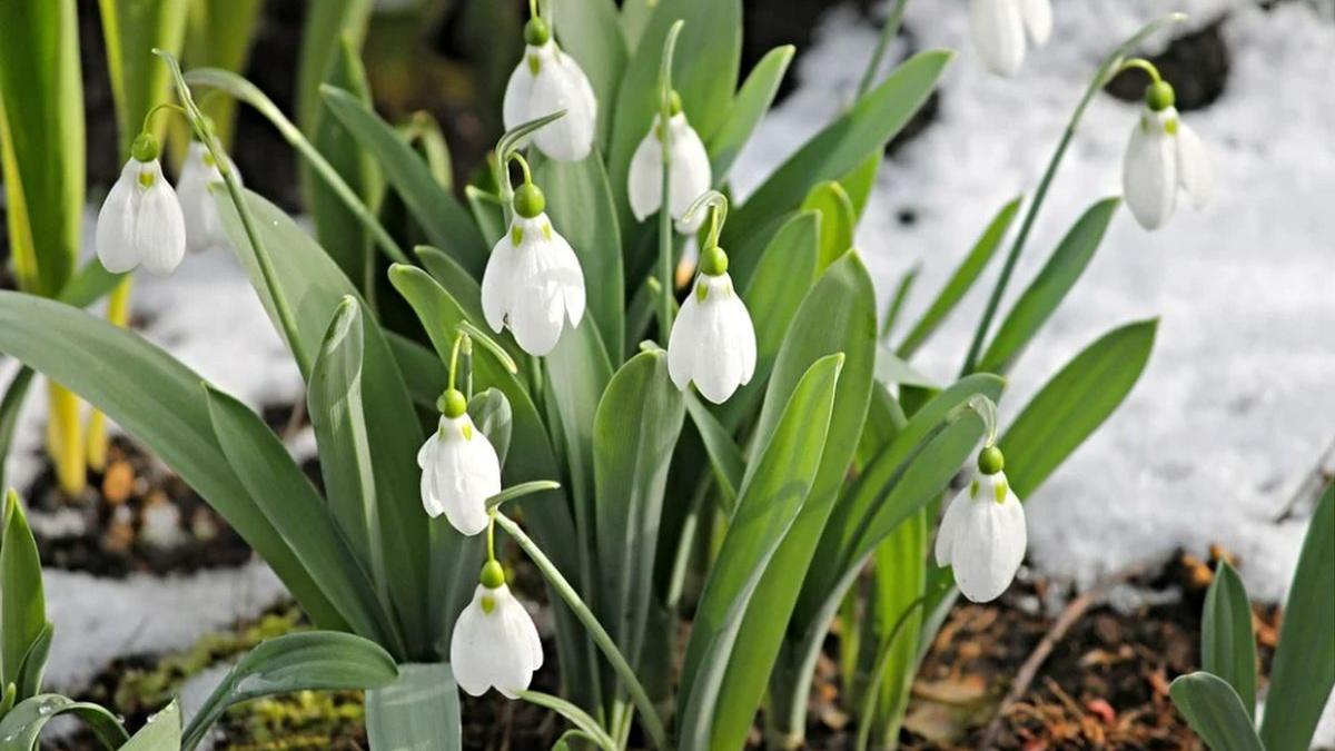 prognoza meteo 28 februarie 28 martie 2021