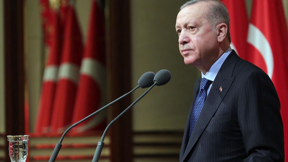 erdogat putin telefon indemn incetare foc ucraina semnare tratat pace