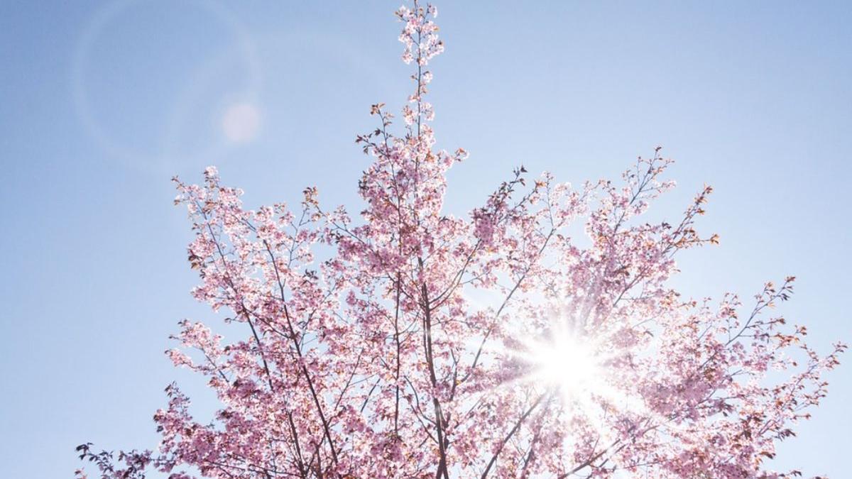 prognoza meteo 7 martie 4 aprilie 2022 vreme rece cald aprilie