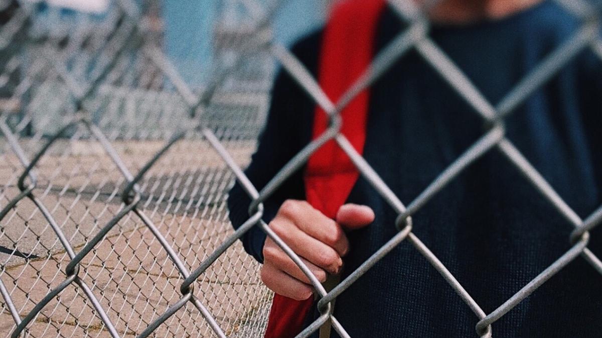 copii ucraina statut audienti scoli romania cataloage provizorii