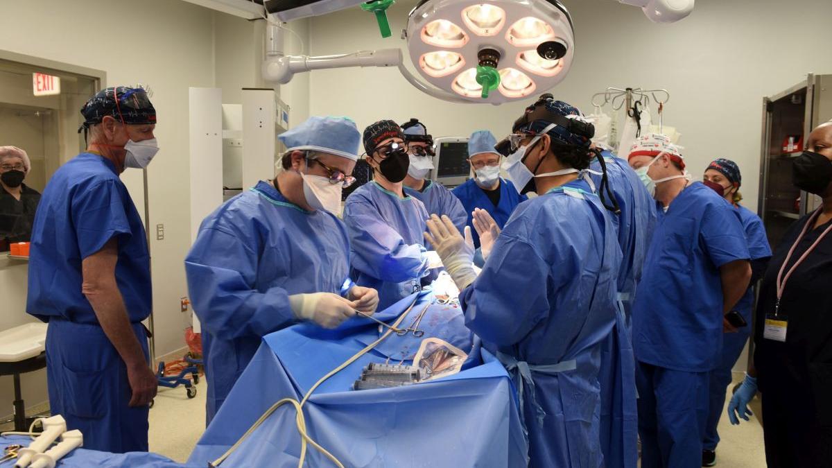 david bennett transplant inima porc