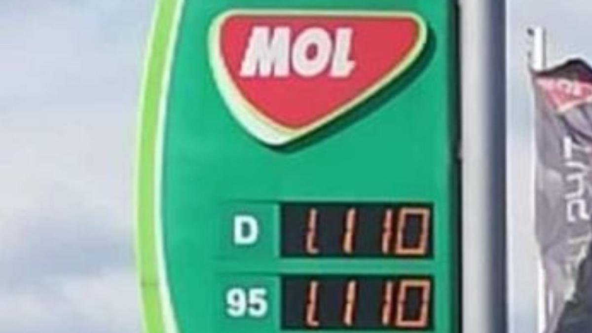 grupul mol precizari criza pret benzina motorina