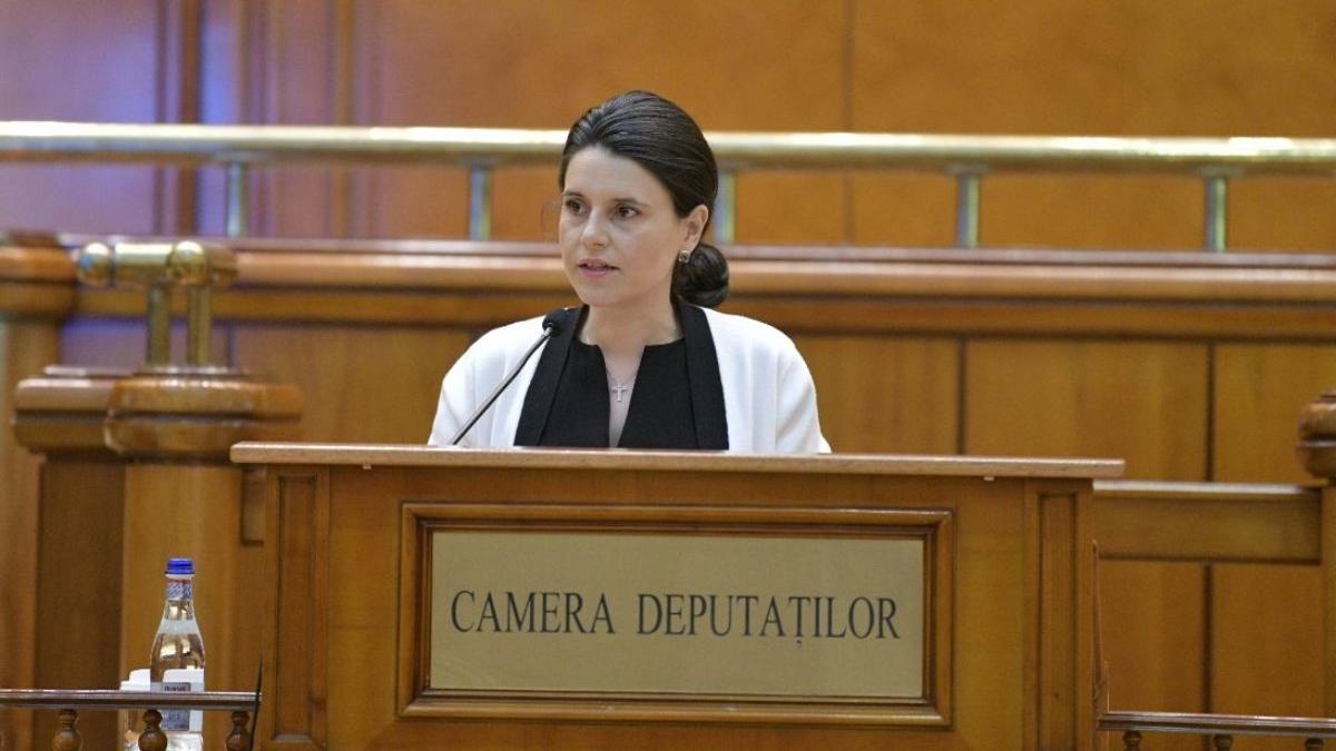 pusl sprijin producatori romani