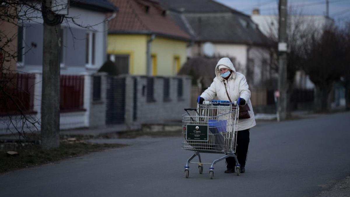 ajutor stat gazduiesc refugiati hrana om