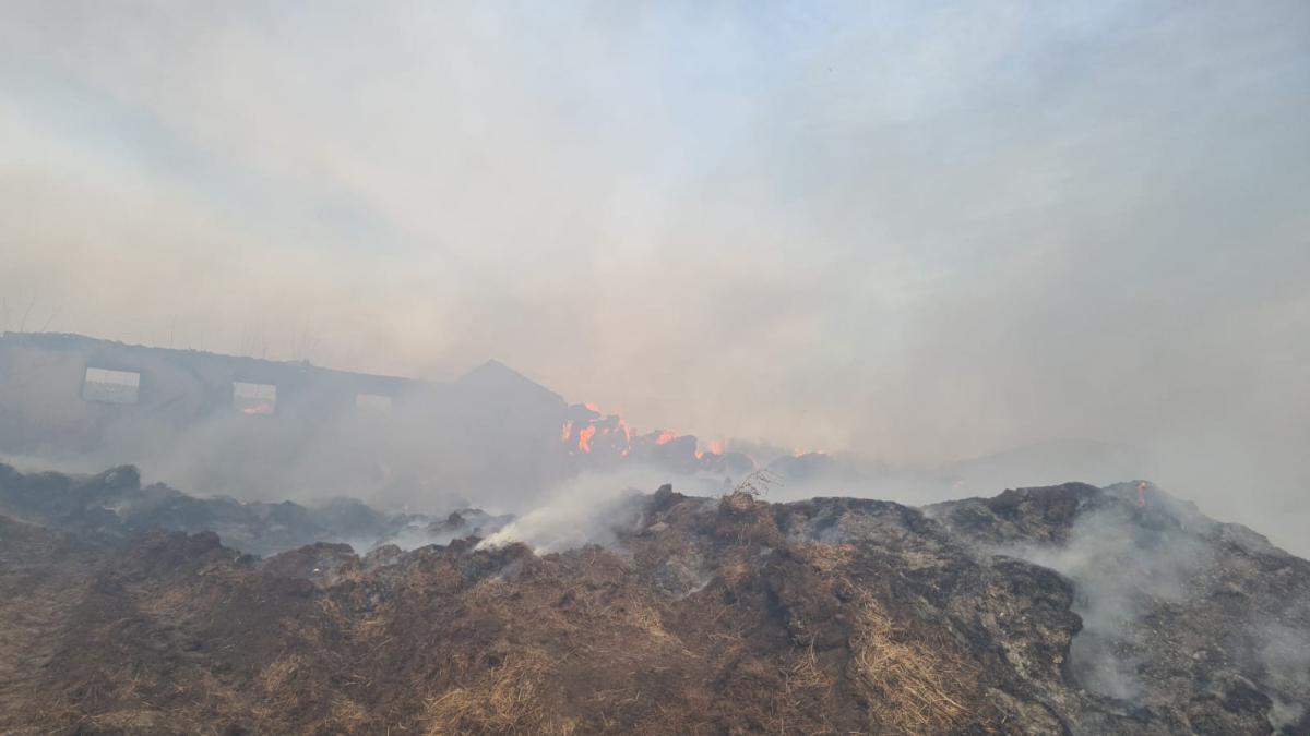 incendiu mileaca adapost animale judetul botosani
