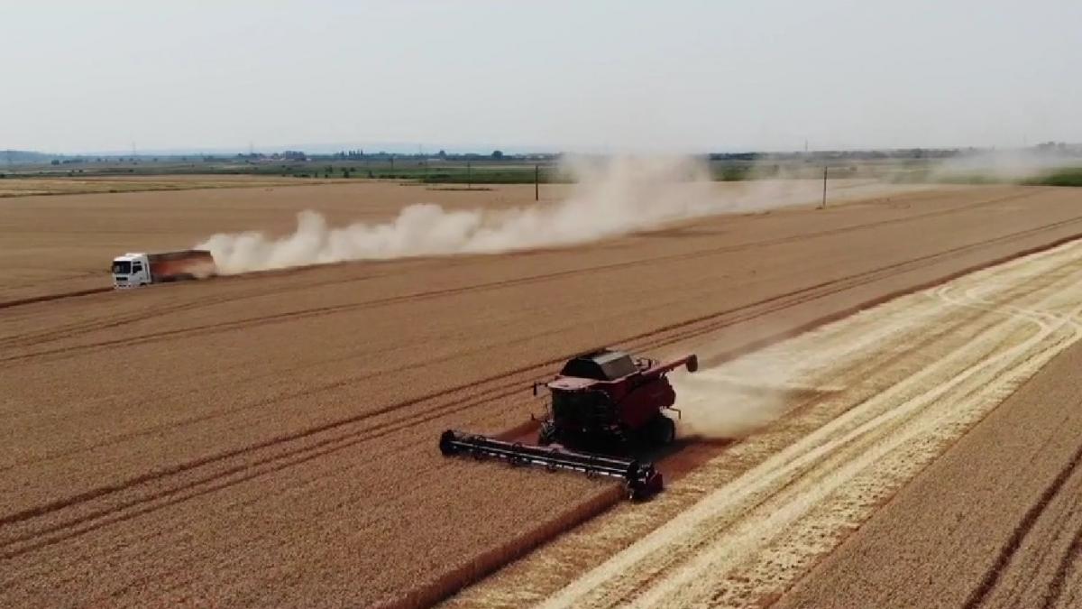 criza ingrasaminte scumpiri legume avertisment fermieri