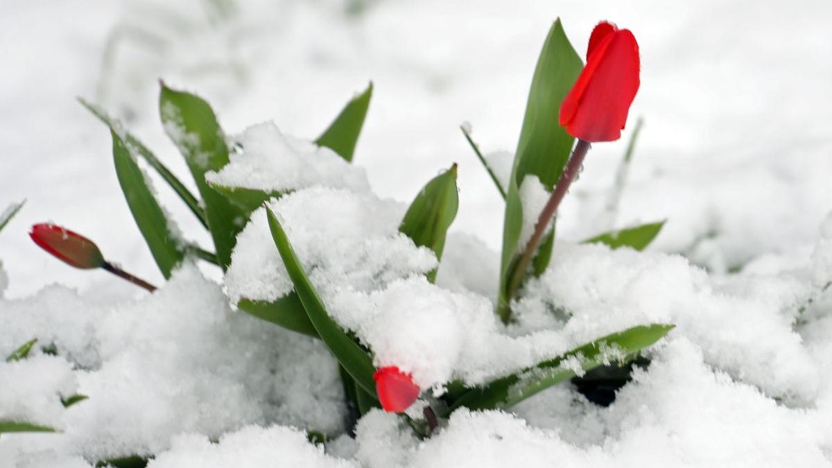 prognoza meteo 14 martie 11 aprilie 2022