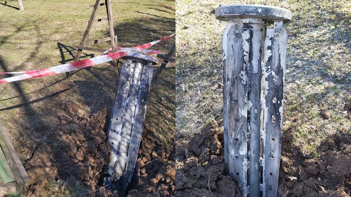 romanii cumpara bilete gradina zoologica ucraina ajuta ingrijitori hrana animale