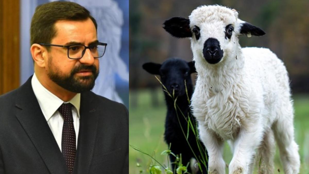 ministrul agriculturii intrebat cat va costa mielul de paste