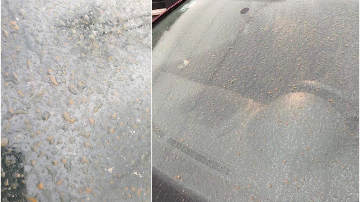 nor praf saharian timisoara