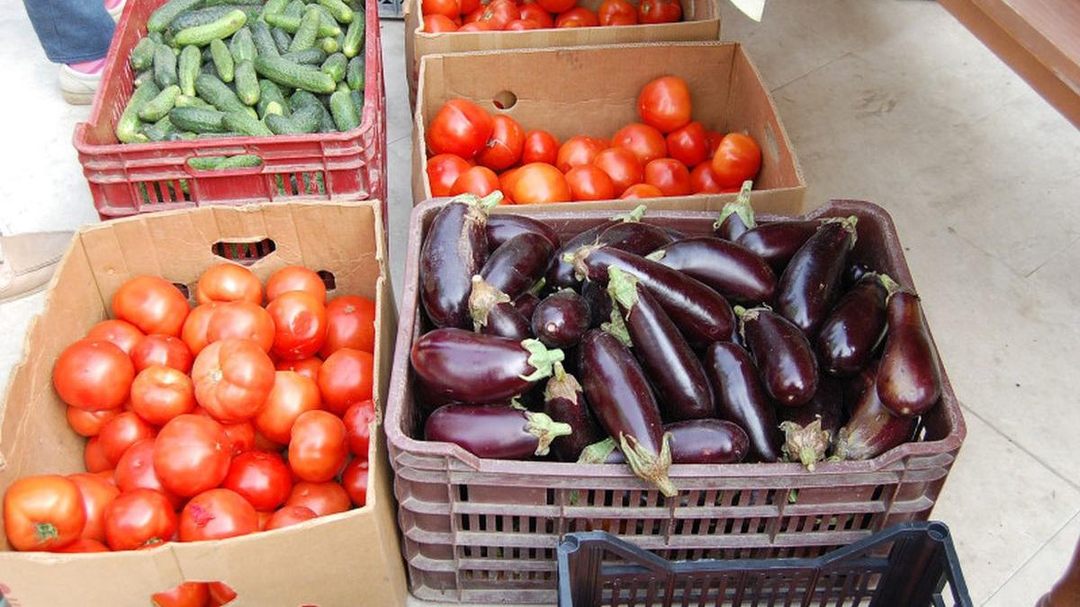 scumpire legume fructe criza ingrasaminte rusia