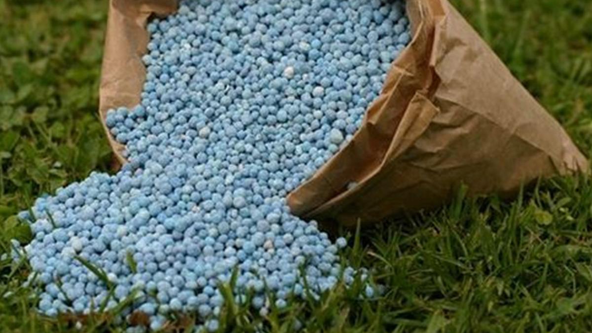 barbat giurgiu ingrasaminte chimice aer liber politisti