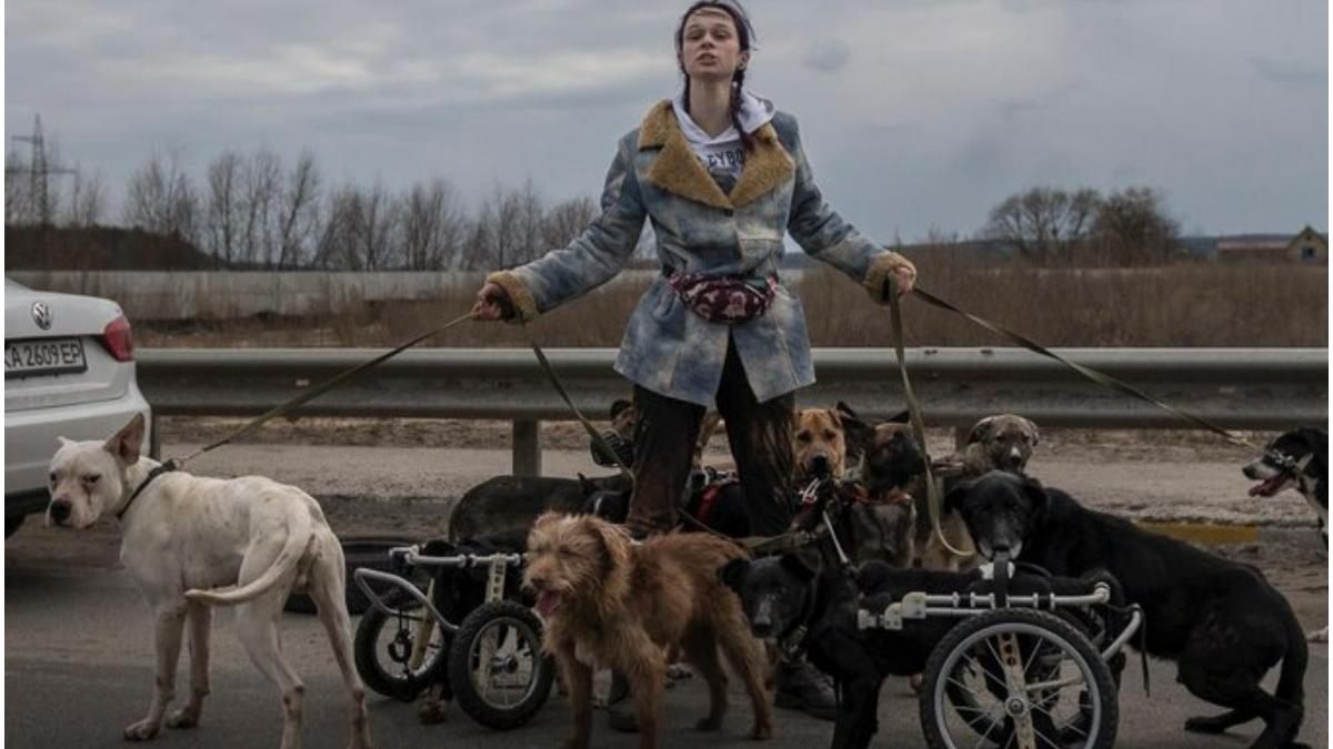 femeie ucraina caini dizabilitati