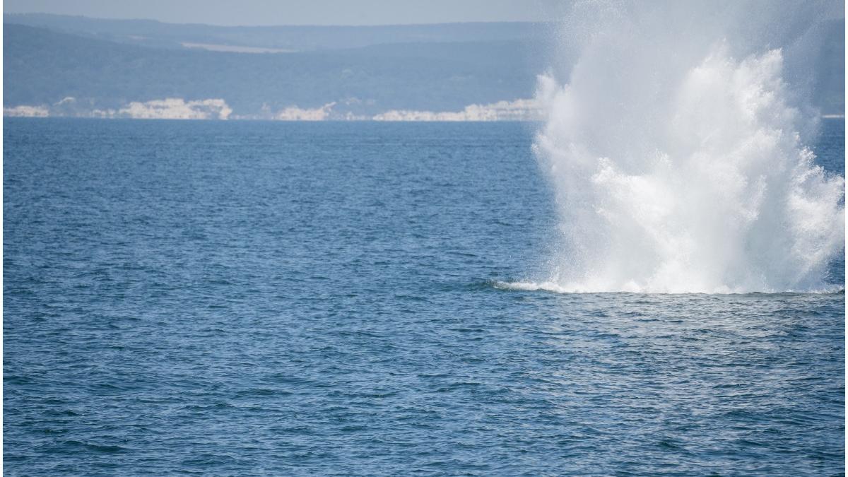 bulgaria avertizeaza mine deriva marea neagra