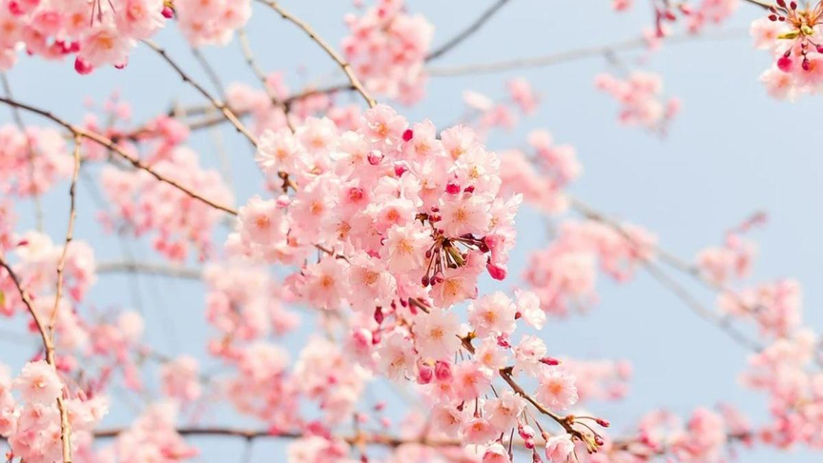 prognoza meteo 21 martie 3 aprilie 2022 vreme calda