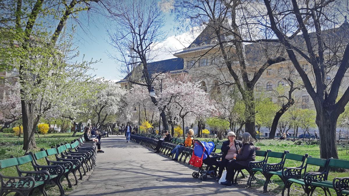 prognoza meteo 22 martie vremea temperaturi 20 grade celsius