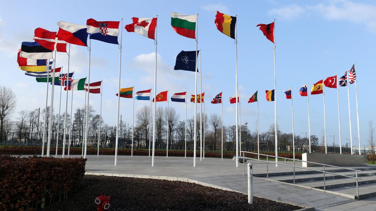 summit nato consiliu european sanctiuni rusia