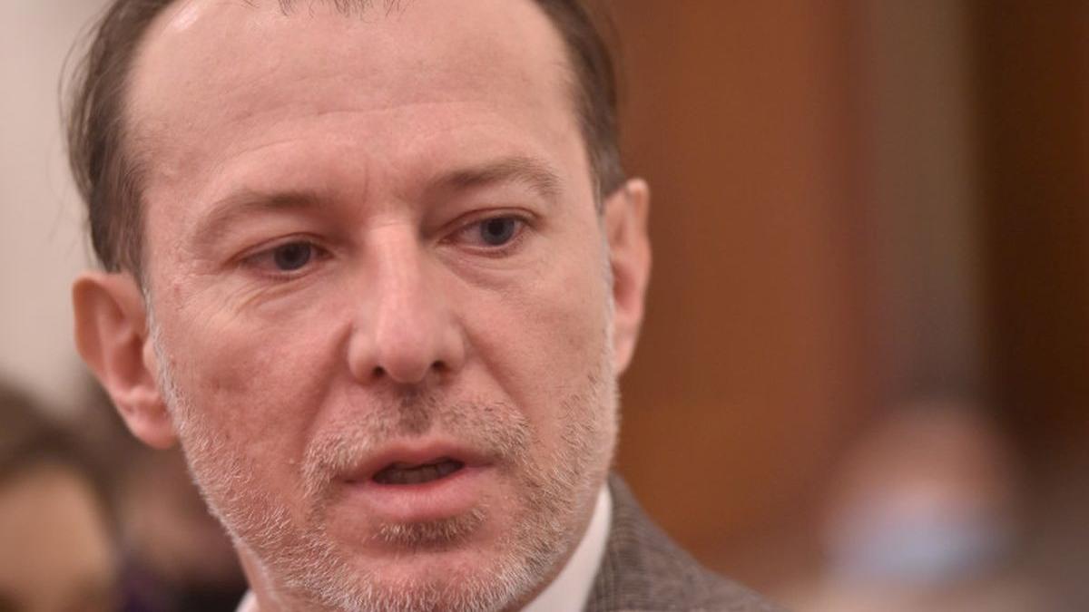 florin citu comasare alegeri locale parlamentare 2024