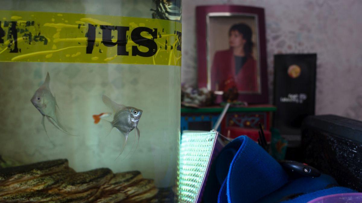 militar rus beat agresat femeie ucraina sot ucis