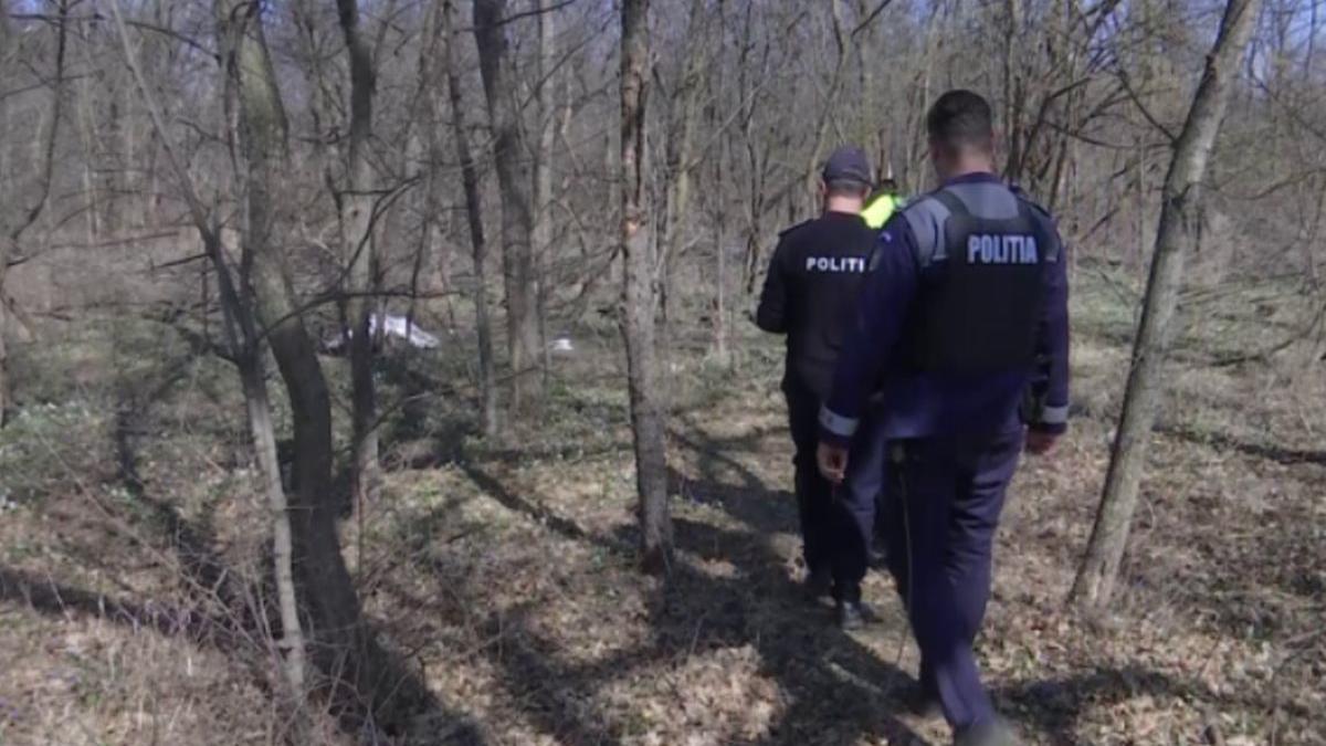 pisici moarte parcul crang buzau