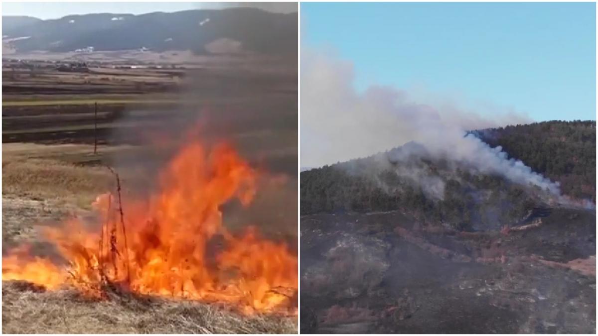 incendii vegetatie uscata flacari amenzi ministrul mediului