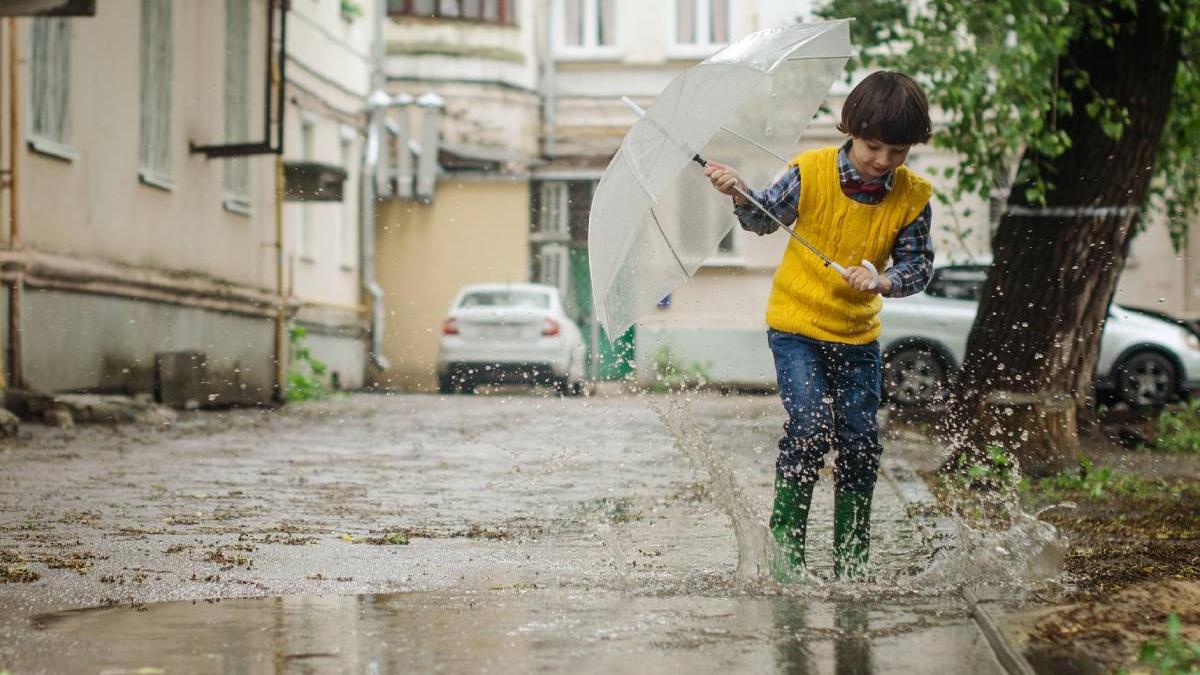 ploi romania anunt director anm elena mateescu