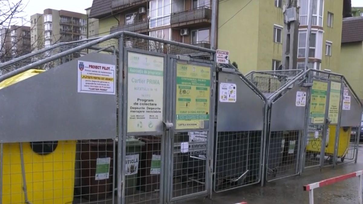 ghene inteligente saci gunoi cipuri oradea