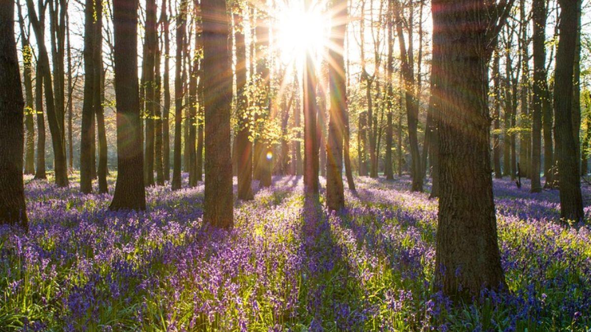 vremea de paste 2022 prognoza meteo