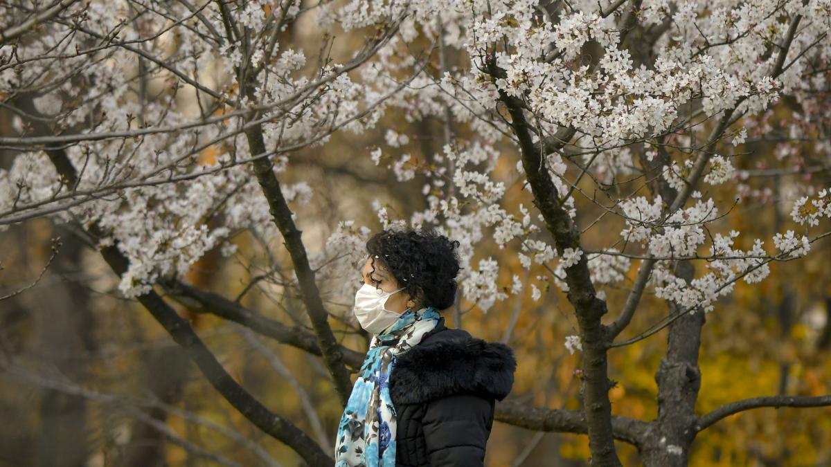 romani afectati pandemie razboi psihologi boli