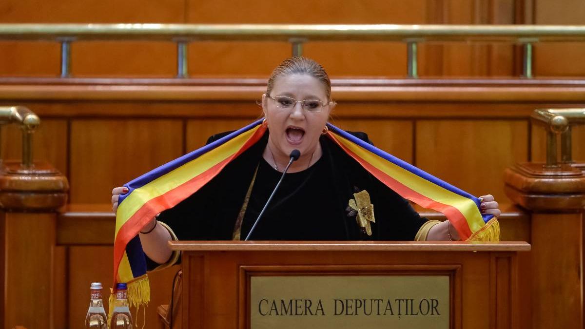 sosoaca trei parlamentari ambasador rusia bucuresti delegatie aprobata camera deputatilor