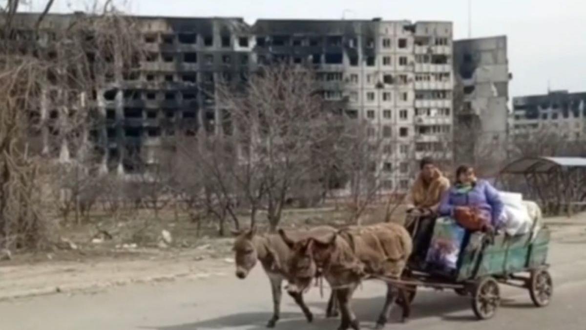 mariupol oameni razboi ucraina rusia