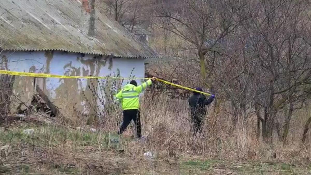 fata 13 ani principal suspect dubla crima poiana botosani