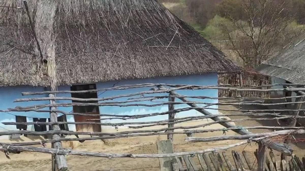 tanara 13 ani suspecta caz crima dubla judet botosani