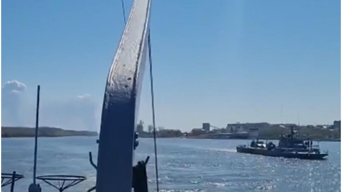 exercitiu militar dunare rusi sulina