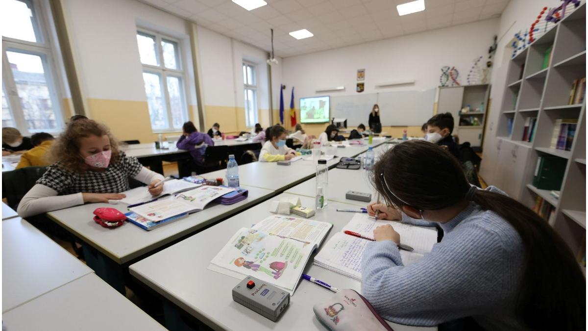 simulare evaluare nationala 2022 proba limba materna