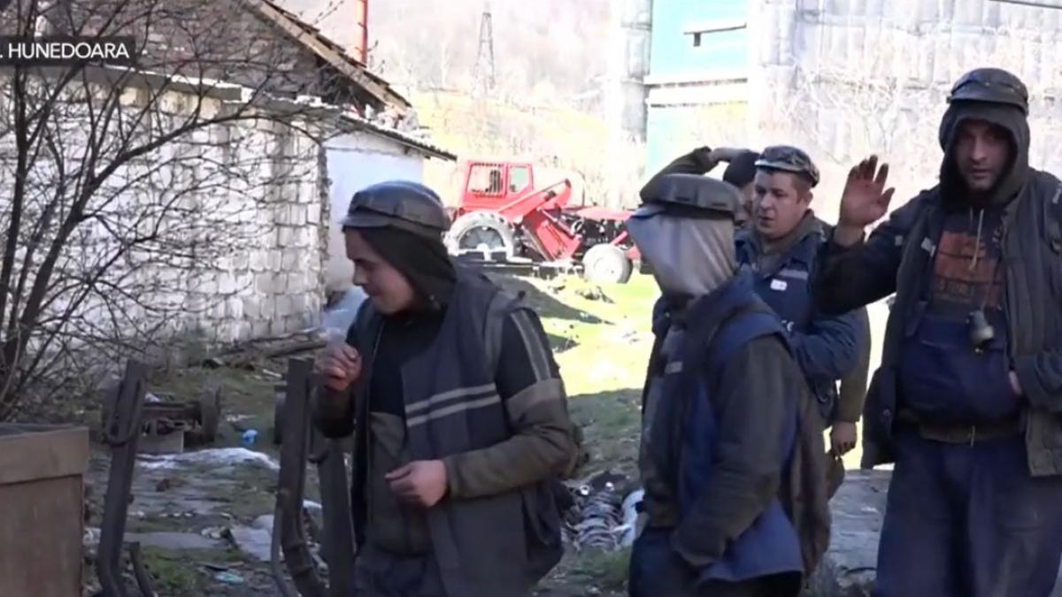 valea jiului laborator studiu cercetatorii straini studenti belgia