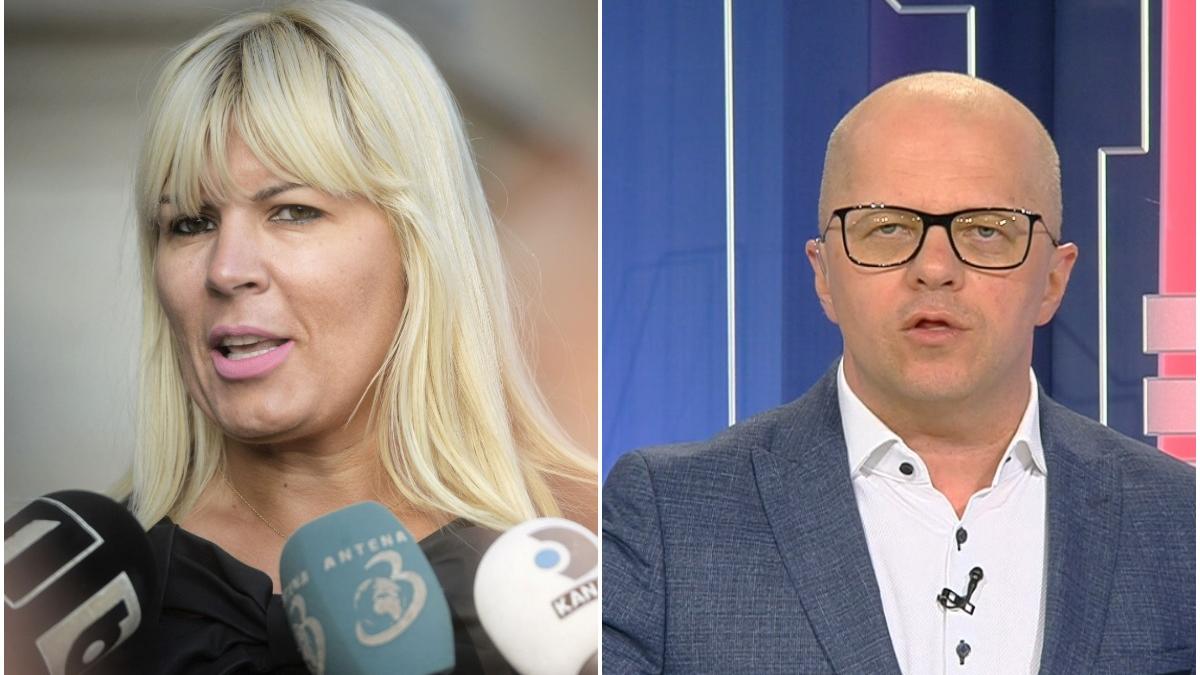 adrian ursu despre condamnarea elenei udrea