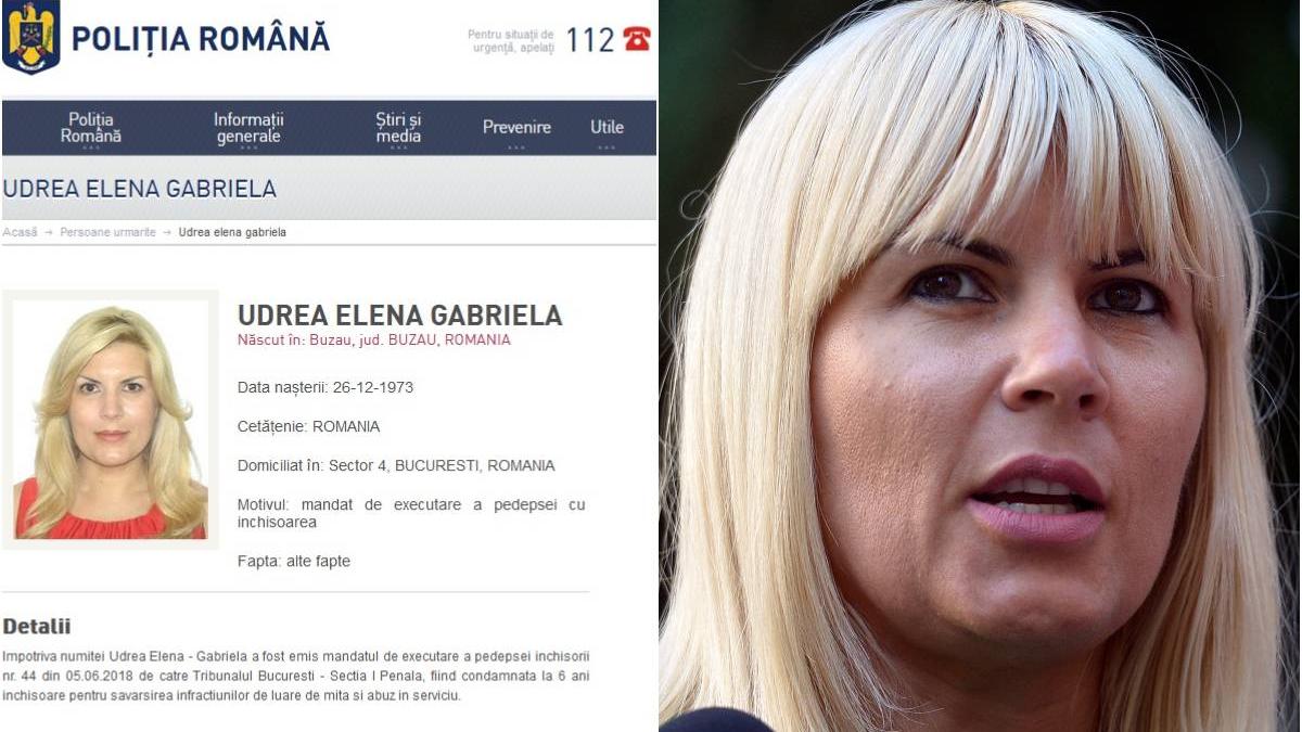 fondator sindicat agenti politie fuga elena udrea romania