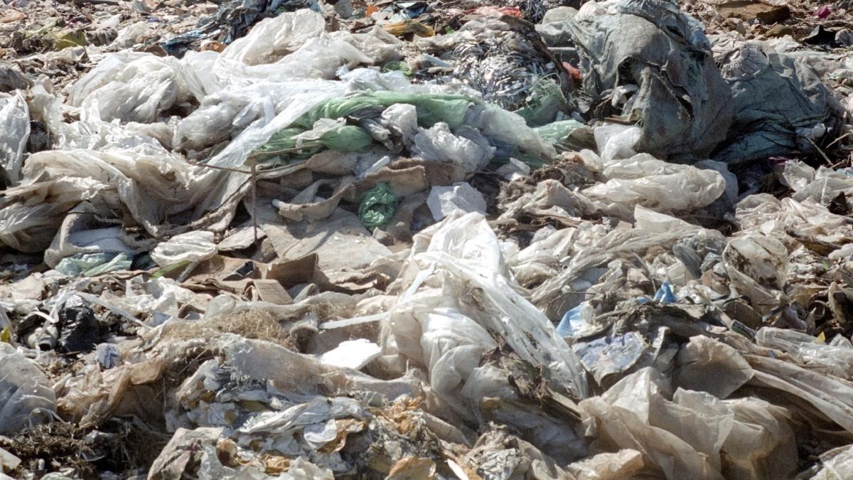 plamanii 11 din 13 oameni contaminati microplastic particule corp boli