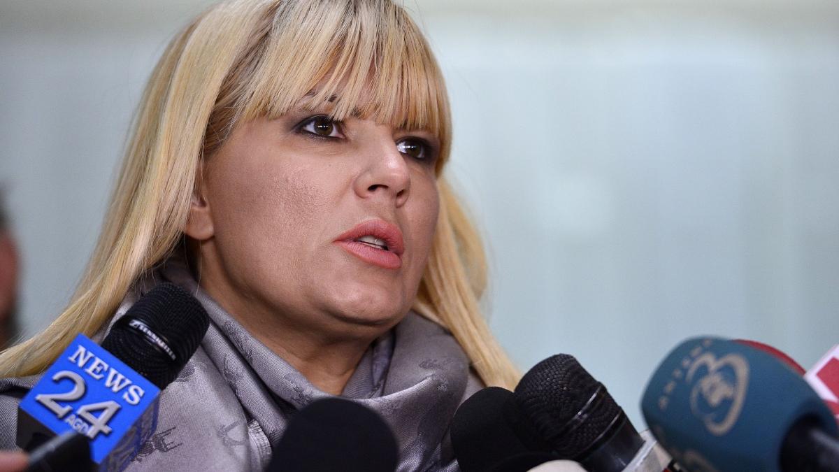 politia romana elena udrea gala bute condamnare