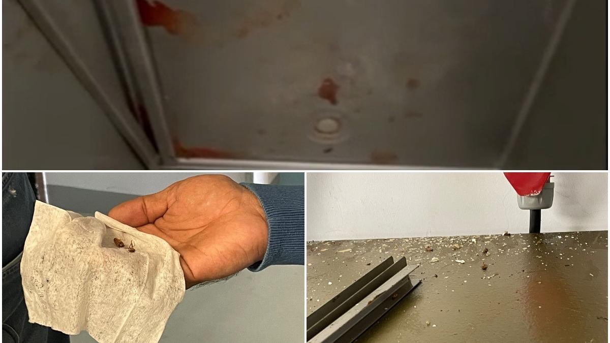 anpc a verificat si a inchis cantina unui camin pentru varstnici al dgasmb