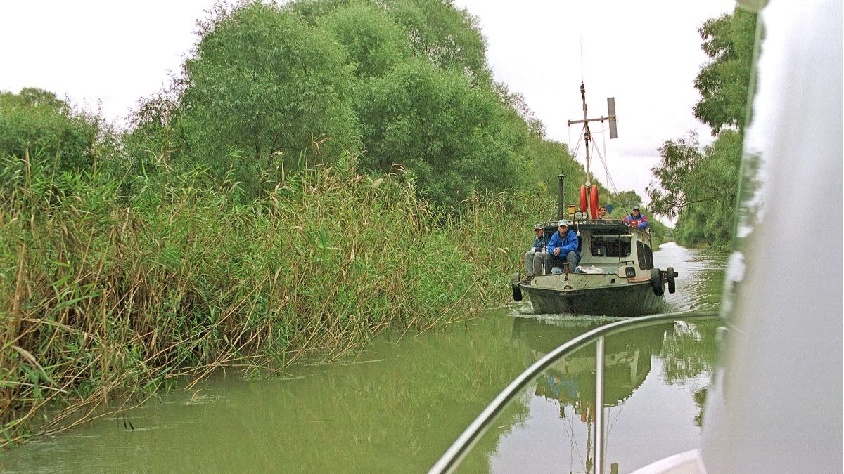 incepe prohibitia generala prescuit romania