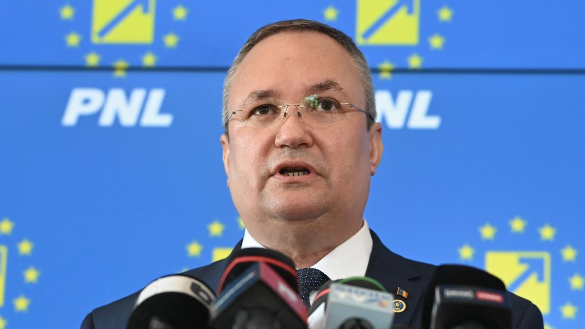 pnl alege duminica noul presedinte partid nicolae ciuca unic candidat