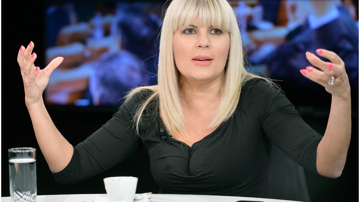 avere elena udrea 2022