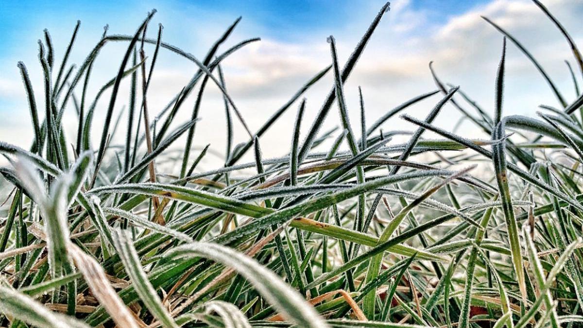 informare meteo vreme rea 11 12 aprilie 2022 bruma