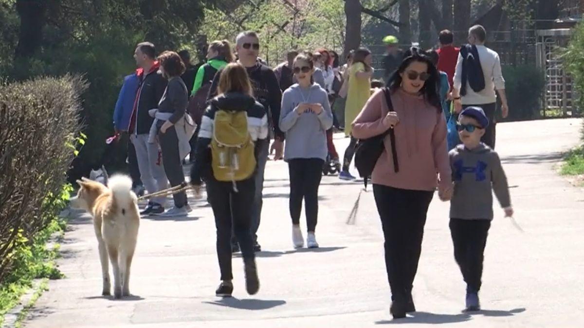 bucuresteni cosmar capuse muscatura boli grave