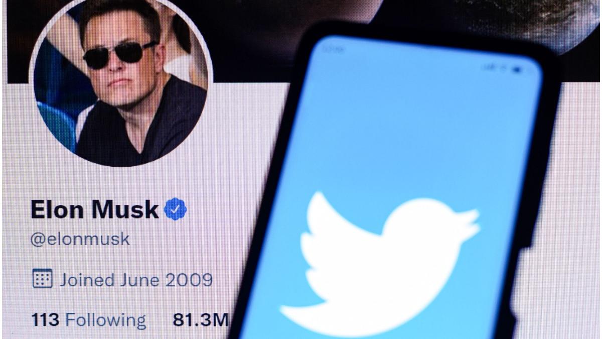 elon musk oferta cumparare twitter potential extraordinar deblocare
